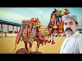 The One MILLION Dollar Camel Race! | Wild Arabia | BBC Earth