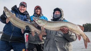 45_2017 - Crazy Fall Muskie Bite on Eagle Lake - FULL EPISODE