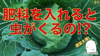 【#89】肥料を入れすぎると虫にやられる！？その理屈を徹底解説！