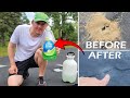 How to Get Rid of Ants in Yard or Driveway