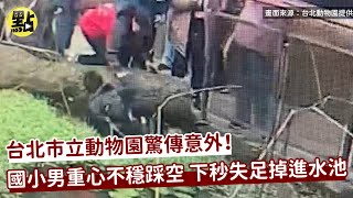 【每日必看】國小男童掉進動物園水池 滑手機踩空影片曝光 @中天新聞CtiNews