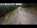 hamsterley forest red u0026 black downhill mtb trails may 2021