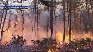 Red Flag Warning: Dry air, gusty winds driving up risk of wildfires in South Jersey
