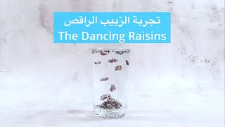 تجارب علمية للاطفال - تجربة الزبيب الراقص - The dancing raisins experiment