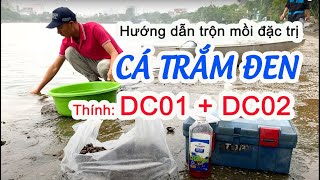 Hướng dẫn trộn mồi đặc trị cá trắm đen thính DC01 + DC02 (bao móm)