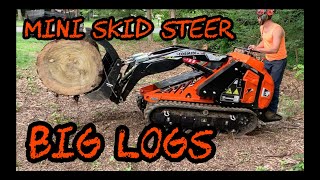 #122 Cormidi Mini Skid Steer Moving Giant Hardwood Logs