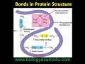 Bonds in Protein Structure | Biomolecules | Biochemistry @biologyexams4u