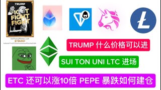 TRUMP、SUI、UNI、LTC、ETC、PEPE 大牛市预测，建仓位置已经公布。山寨币季节即将到来，提前布局价值洼地。实现财富自由，阶级跨越就靠这个币了。PEPE 以小博大，但是风险也大！BTC