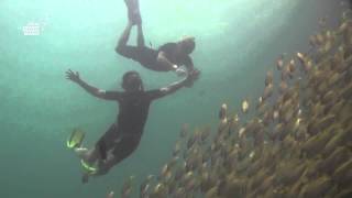 AIDA Freediving Course with Blue Planet Apnea