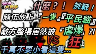 《貓咪大戰爭》什麼？！隊伍放上『一隻』『平民貓』敵方整場居然被『虐爆』？！千萬不要小看這隻...【豪show】