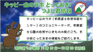 キッピー山のラボ とっておき！つよし君情報「春企画『たんぽぽさんぽ』のお知らせと新しい広報誌について」平成29年3月15日放送