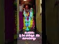 nandhavaram chowdeshwari ammavari aarathi moolavirattu temple devotional shorts videos