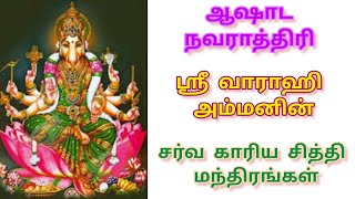 ஸ்ரீ வாராஹி அம்மன் சர்வ காரிய சித்தி மந்திரம்@Bhumadevi