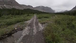 Cadomin Valley to Cardinal River Falls on KTM 450xc-w