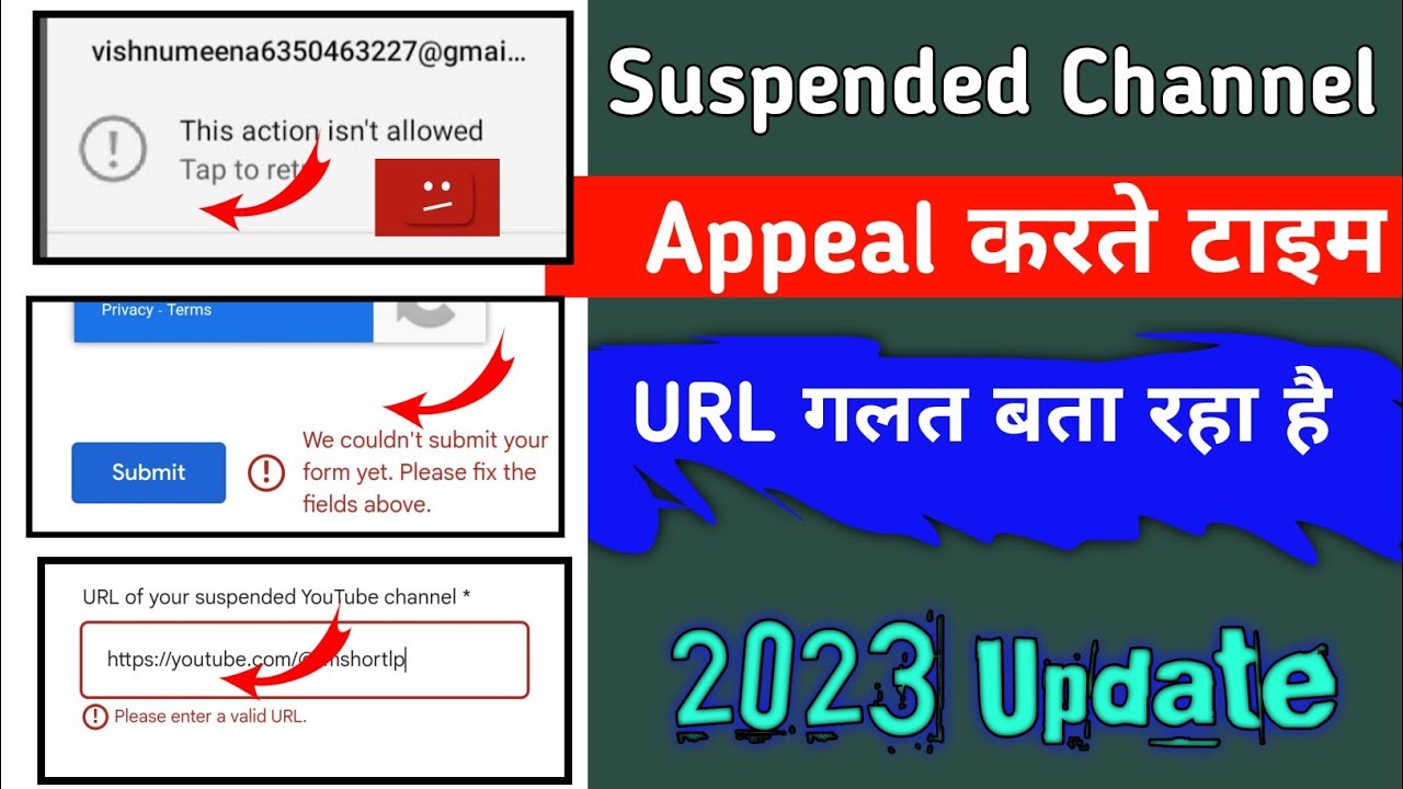 Please Enter A Valid Url L рџґіyoutube Channel Suspend Huwa Hai L Youtube