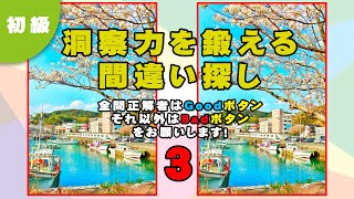 【まちがい探し/脳トレ/初級レベル】洞察を鍛える間違い探し 0003