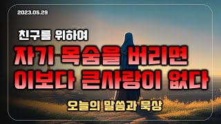 [오늘의 말씀 I 하루묵상] 사람이 친구를 위하여 자기 목숨을 버리면 이에서 더 큰 사랑이 없나니