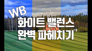 화이트 밸런스 제대로 알고 사진을 찍자! / white balance /화이트 발란스 알아보기 / 사진강좌/사진강의/