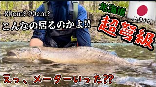 ”記録級⁉” 正真正銘のモンスターブラウントラウト降臨～My BIGGEST Brown Trout ever!～