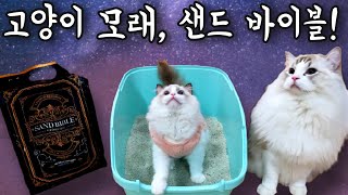 김명철수의사가 추천 한 고양이 모래! 샌드 바이블!