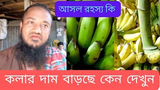 কলার দাম বাড়ছে কেন দেখুন#banana  01/06/2023