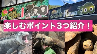 【爬虫類動物園】iZoo・KawaZooを楽しむ３つのポイントご紹介！