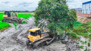 Perfectly! Excellent Skill Driver Dozer SHANTUI  Pushing  Clear Mud with Dump truck pouring soilRock