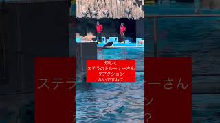 ステラのトレーナーさん珍しくリアクションなし？名古屋港水族館#shorts