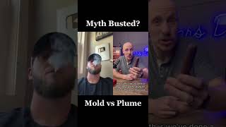 Cigar 101: Is it Mold or Plume on my cigar? @CigarsDaily #gentleman #cigars #myth #mold #cigar