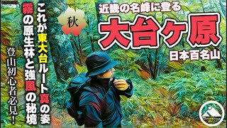 近畿の名峰に登る［大台ヶ原］これが東大台ルート真の姿！霧の原生林と強風の秘境 YT-133