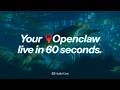 Deploy OpenClaw Agent in 60 Seconds | AI Agent Setup Guide