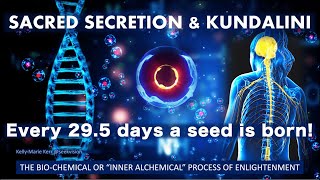 Kundalini Energy Sacred Secretion INFO 2022 | SUPER CONSCIOUSNESS: THE BIOCHEMISTRY of Inner Alchemy