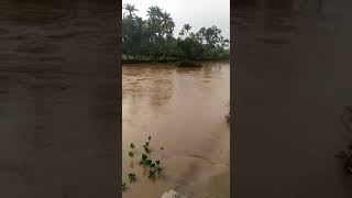 Ayikudy Chinna Anaikkattu flood 2017