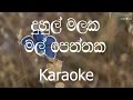 Duhul Malaka Mal Peththaka Karaoke (without voice) - දුහුල් මලක මල් පෙත්තක