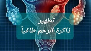 تطهير ذاكرة الرحم طاقياً/ مع اية35من سورة النور💞ربى كايزن