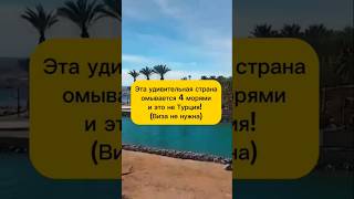 Где провести свой отпуск? #shorts #море