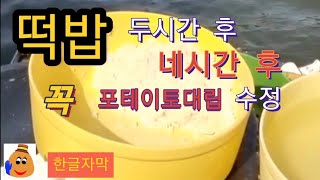 4월 떡밥의 변화 물성 수정(꼭 포테이토 대립) 튜브찌 4 시간 밥의 변화 전 과정