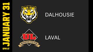 RSEQ MVB - DAL vs Laval - January 31, 2025