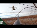 Hunting a HIDDEN Ice Hole for MALLARDS! (Limited Out) | ALL DAY Duck Hunt Out of a Stick Blind