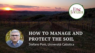 Managing and protecting soil in the vineyard: experience of the Soil4Wine LIFE+ project