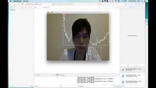 ofxCv example-contours-basic TEST