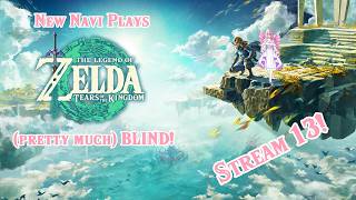 Time to try and find the last of the shrines! New Navi Plays Tears of the Kingdom Stream 13