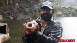 അടിപൊളി തിലോപ്പിയയും കട്ലയും #katlafish #and #Tilapiafish #hunting (Part 2)