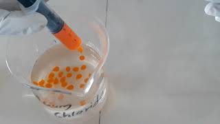 Sodium Alginate Beads by Gelation Method Surawase Sir LNJDP COP Manur