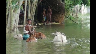 দুর্নীতি ও অবহেলায় বন্যা কবলিত হয়েছে লাখ লাখ মানুষ