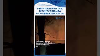 Perusahaan Southern California Edison Dituntut, Diduga Jadi Pemicu Kebakaran Besar Los Angeles