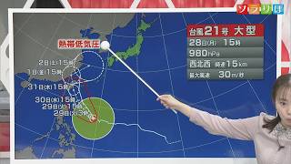 【気象予報士が解説】29日は天気下り坂...夜は傘の出番も－台風の最新情報も【新潟】スーパーJにいがた10月28日OA