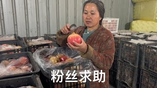 粉丝求助让卖软籽石榴，拉到清香家仓库几万斤，接为难不接更为难