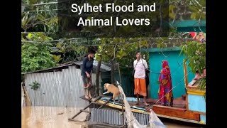 Animal lovers Pray for Sylhet || Sylhet Flood, সিলেটের বন্যা