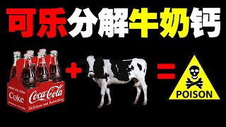 【可口可樂】里倒入【牛奶】 到底會發生什麼化學反應呢？你敢不敢喝？